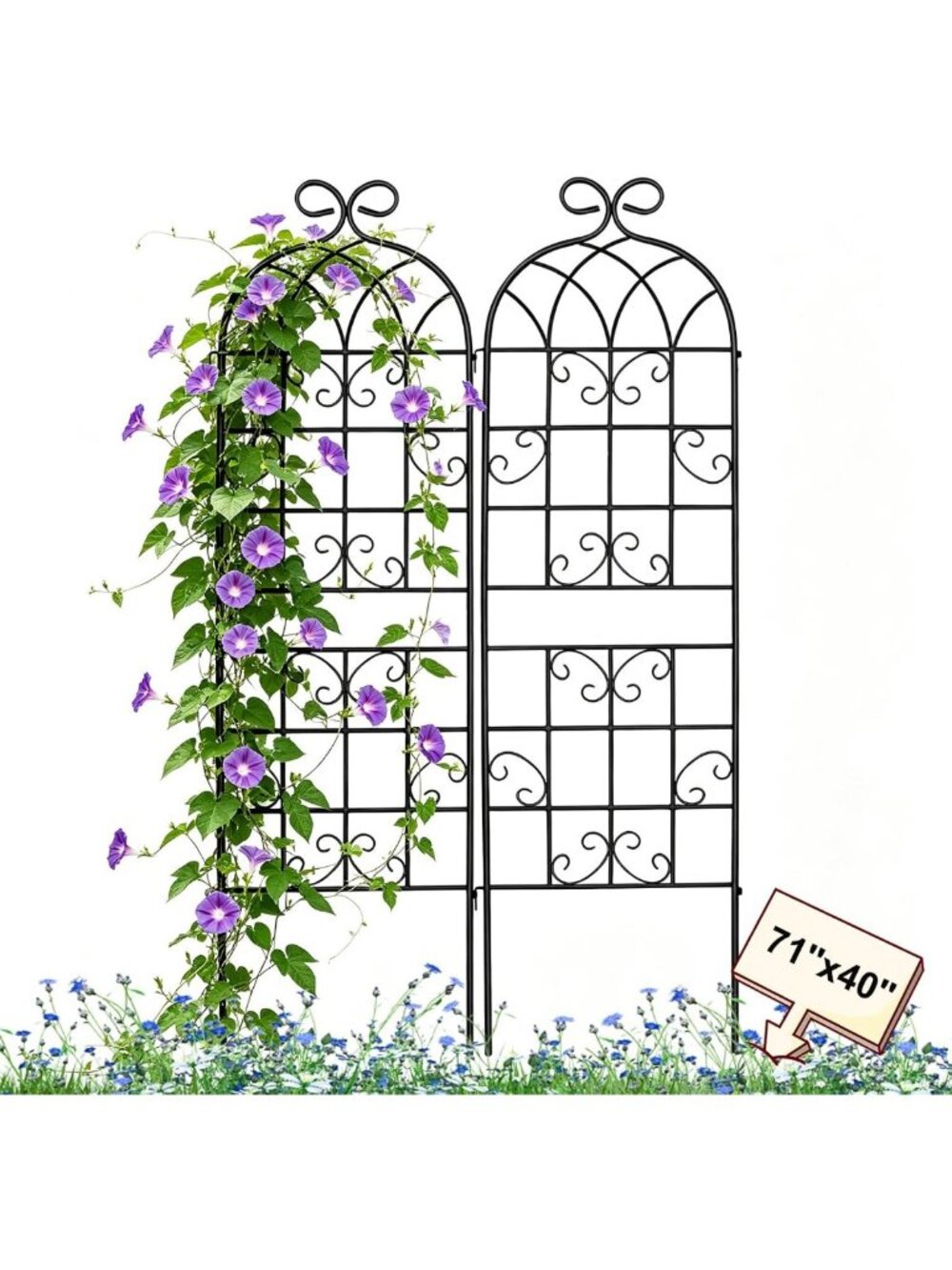 Rustic Iron Garden Trellis for Climbing Plants - Black Metal Arch Decor 71"x40